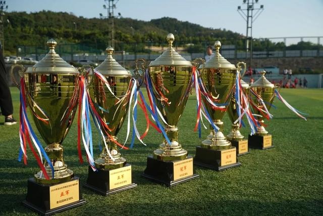 2025世俱杯十二大球场巡礼:马竞成“大冤种”